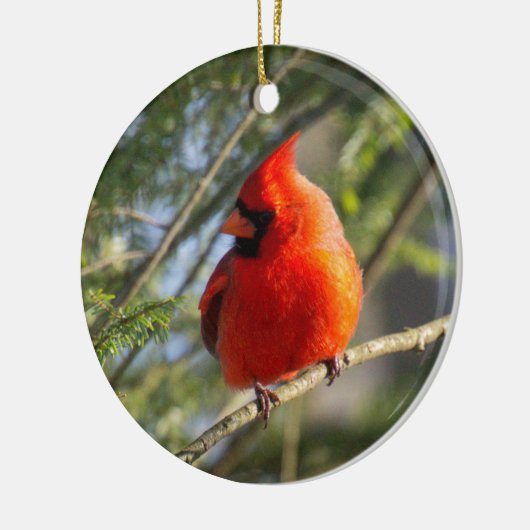 クラシック(鳥)ショウジョウコウカンチョウポートレート セラミックオーナメント (左)