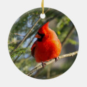 クラシック(鳥)ショウジョウコウカンチョウポートレート セラミックオーナメント (裏面)