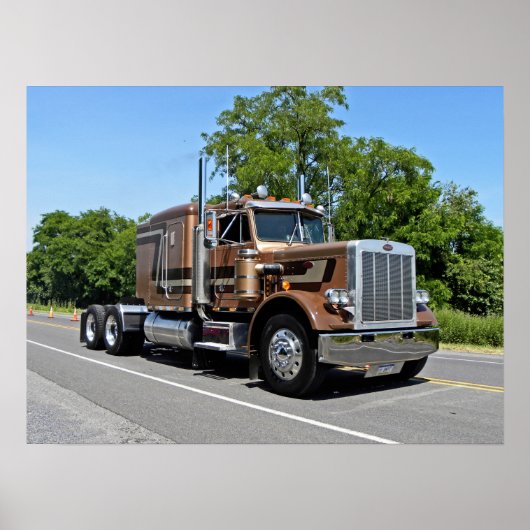 クラシックTan 359ポスター ポスター (正面)