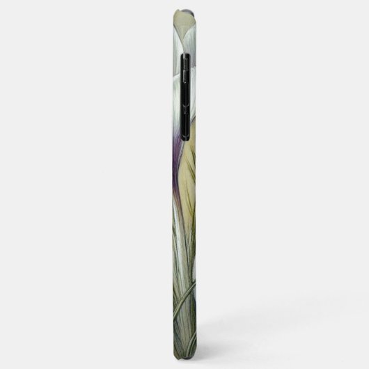 クラシーシッククロキューズファインアートボタニカルスケッチ Case-Mate iPhoneケース (裏面/左)