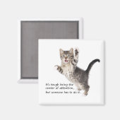 クラジーキッテン磁石 マグネット (正面/裏面)