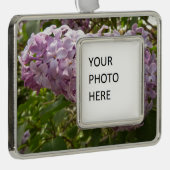 クラスタの薄紫花の春フローラ シルバープレートフレームオーナメント (右)