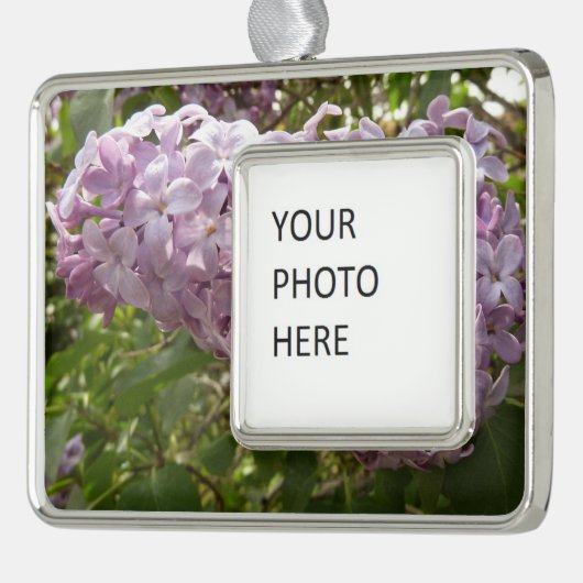 クラスタの薄紫花の春フローラ シルバープレートフレームオーナメント (左)
