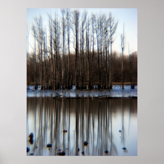 クラスタ ポスター (正面)