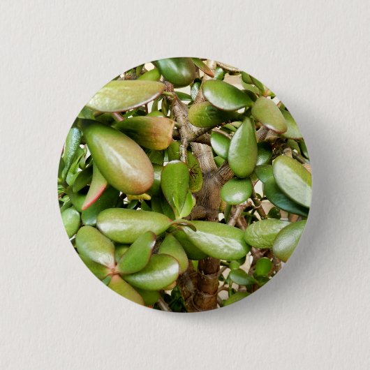 クラスルアオバタバッジ 缶バッジ (正面)