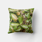 クラスルオバタスロークッション クッション (裏面)