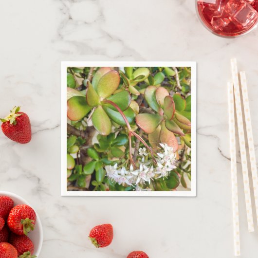 クラスルオバタ紙ナプキンス スタンダードカクテルナプキン (インサイチュ)