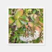 クラスルオバタ紙ナプキンス スタンダードカクテルナプキン (正面)