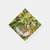 クラスルオバタ紙ナプキンス スタンダードカクテルナプキン (角)