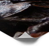 クラスルスルーバーポスター ポスター (角)