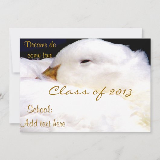 クラス2013_招待状 招待状 (正面)