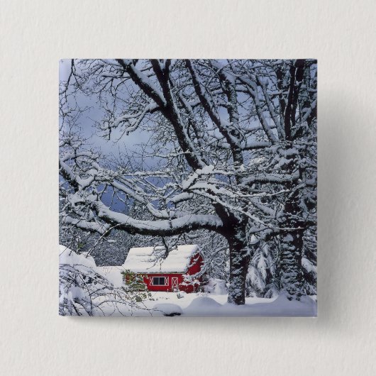 クラッカマス郡オレゴン州、米国。新雪 缶バッジ (正面)