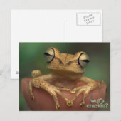 クラッキングって何だ？ ポストカード (正面/裏面)