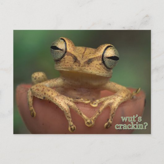 クラッキングって何だ？ ポストカード (正面)