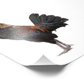 クラックチキン フォトプリント            (角)