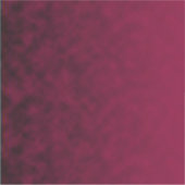 クラッシュド・ブルーム シール (正面)