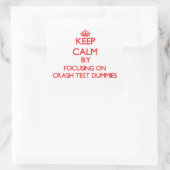 クラッシュ保テストのダミーに焦点を当てて落ち着く スクエアシール (バッグ)