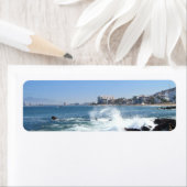 クラッシュ波付きPVビュー ラベル (インサイチュ)