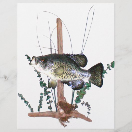 クラッピー山 (正面)