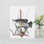 クラッピー山 (スタンド正面)