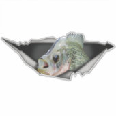 クラッピー車のデカール、クラッピーのステッカー、クラッピーの破れた金属 シール (正面)