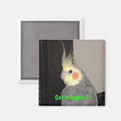 クラッ得カー？ マグネット (正面/裏面)