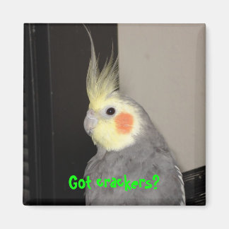 クラッ得カー？ マグネット