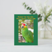 クラッ忘れカー、ポリーはがきや、オウムが欲しい ポストカード (スタンド正面)