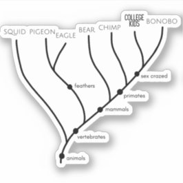 クラドグ間抜けラム3" x 3"ビニールシール シール