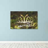 クラノフェリ キャンバスプリント (インサイチュ (ウッドフロア))