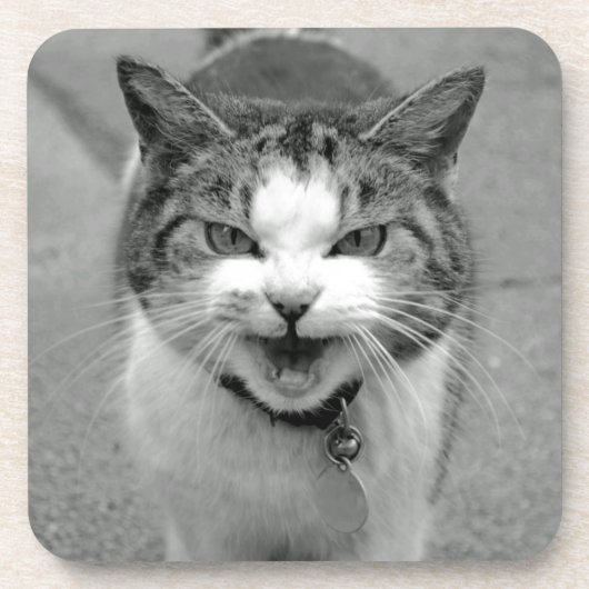 クラビーキャットコースター コースター (正面)