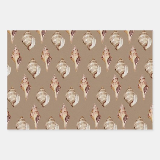 クラフト紙水の色シーシェルバイザシーショア ラッピングペーパーシート (正面3)