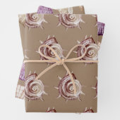 クラフト紙水の色シーシェルバイザシーショア ラッピングペーパーシート (インサイチュ)