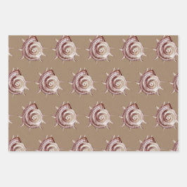 クラフト紙水の色シーシェルバイザシーショア ラッピングペーパーシート