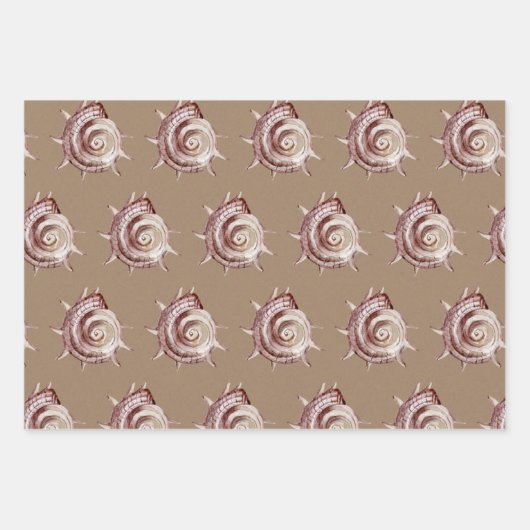 クラフト紙水の色シーシェルバイザシーショア ラッピングペーパーシート (正面)