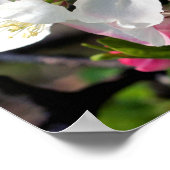 クラブかわいらしリン春花咲き乱れる花 ポスター (角)