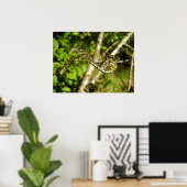 クラブテール・トンボのポスター ポスター (ホームオフィス)