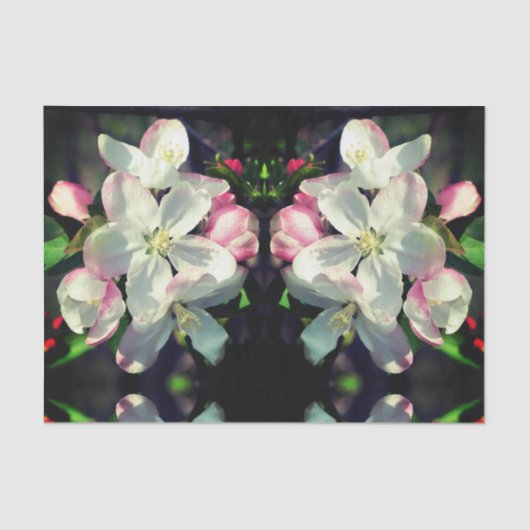 クラベリン春フラワーフラワーズデコップページ 薄葉紙 (正面)