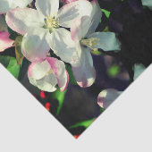 クラベリン春フラワーフラワーズデコップページ 薄葉紙 (詳細)