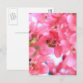 クラボリンミツバチ2 ポストカード (正面/裏面)