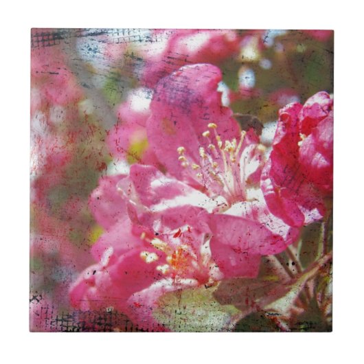 クラボルの花 タイル (正面)