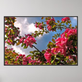 クラボルの花 ポスター (正面)