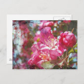 クラボルの花 ポストカード (正面/裏面)