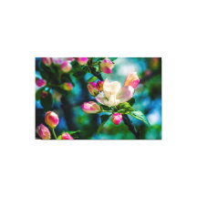 クラボンの花と芽