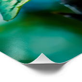 クラボンの花と芽 ポスター (コーナー)