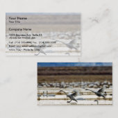 クラマスの白鳥 名刺 (正面/裏面)