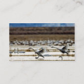 クラマスの白鳥 名刺 (裏面)