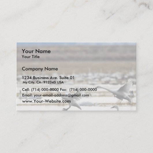 クラマスの白鳥 名刺 (正面)