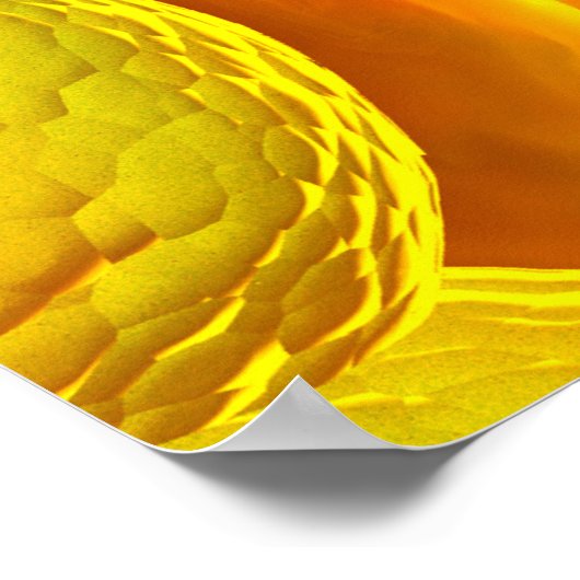 クラミジアの顕微鏡的見解 ポスター (角)