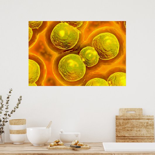 クラミジアの顕微鏡的見解 ポスター (キッチン)